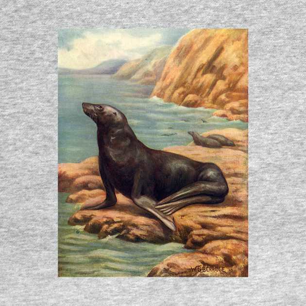 California Sea Lion by MasterpieceCafe